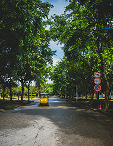 夏日马路树木摄影图