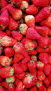 红色小草莓摄影照片_草莓摄影图