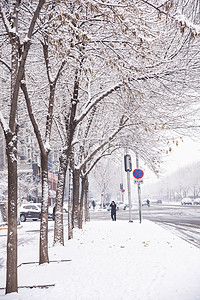 冬冬季摄影照片_寒冷冬天大雪街道雪景摄影图