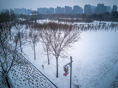 严冬摄影照片_雪后树木雪地城市自然风景摄影图
