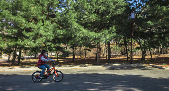 人物头像框科技风摄影照片_骑自行车的男孩