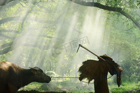 清明清明节摄影照片_福建泉州自然风光摄影