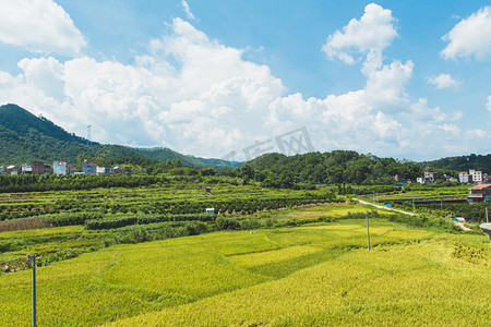 田园风景风光摄影图