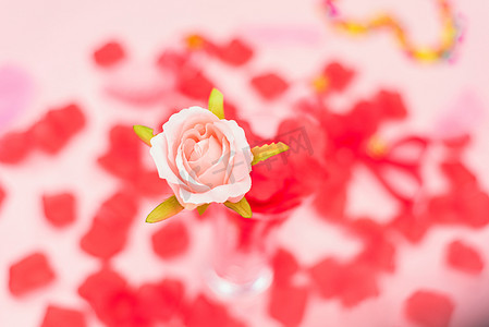 浪漫520情人节玫瑰摄影图