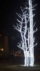 夜景树木摄影照片_城市夜景之会发光的树木摄影图