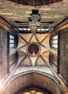 两枝叶对称摄影照片_维也纳对称的教堂天花板摄影图