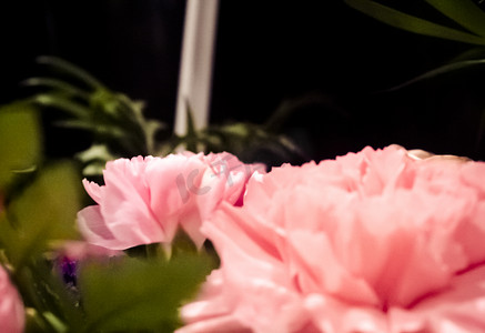 教师节粉色摄影照片_粉色康乃馨鲜花花束摄影图
