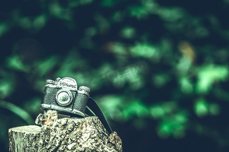 树桩照相机摄影图