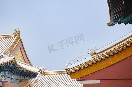 屋檐上的猫摄影照片_故宫雪景屋檐摄影图