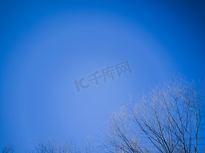 蓝色天空树木风景摄影图