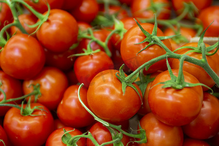 西红柿番茄摄影照片_西红柿摄影图