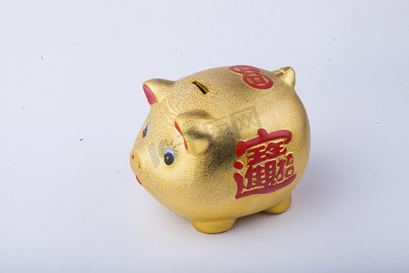 猪猪储钱罐摄影照片_金猪储钱罐侧面摄影图配图