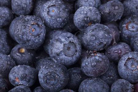 浆果摄影照片_新鲜蓝莓摄影图