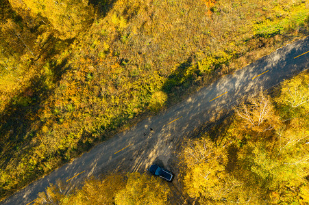 金色四角星摄影照片_秋季里金色森林航道路拍摄影图