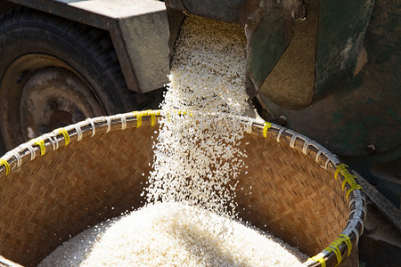 玉米大米饭摄影照片_粮食大米摄影图