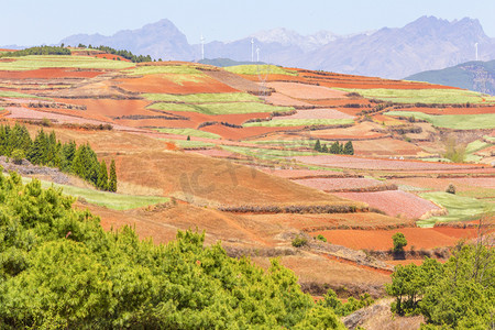 红土地摄影照片_东川红土地摄影图