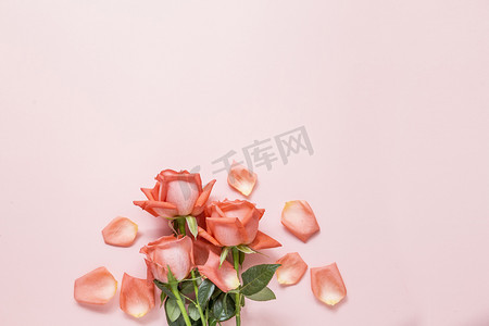 玫瑰花瓣雨摄影照片_玫瑰摄影图