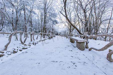 石凳雪和树木摄影图