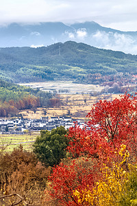 村庄红叶和山脉摄影图