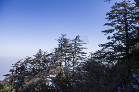 风景名胜尧山古树自然风光摄影图