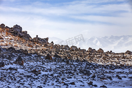 雪地雪山摄影图