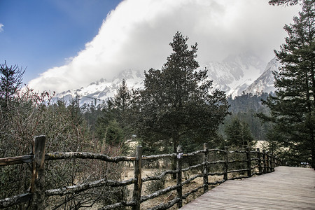 自然风景雪峰森林摄影图