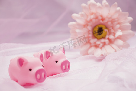 粉色女神节摄影照片_唯美粉色可爱小猪摄影图