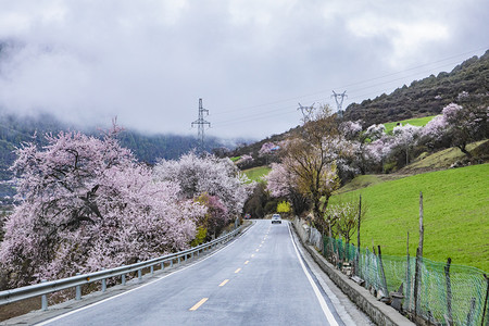 西藏林芝风景摄影图