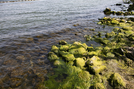 海边海岸石头自然风景摄影图