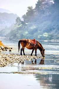 马匹摄影照片_马匹水面和山峰摄影图