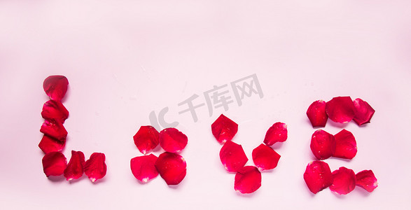 玫瑰花花瓣七夕节摄影图