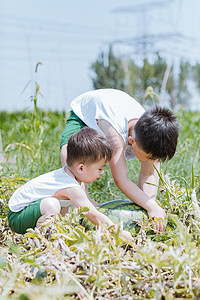 小孩子跌倒摄影照片_西瓜地里摘西瓜的小孩