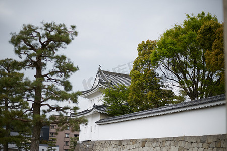 日本白墙树木摄影图