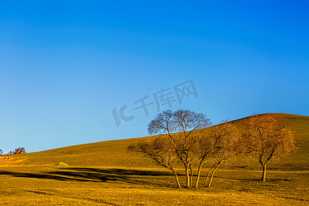 秋季草地摄影照片_草地山岳和树木摄影图