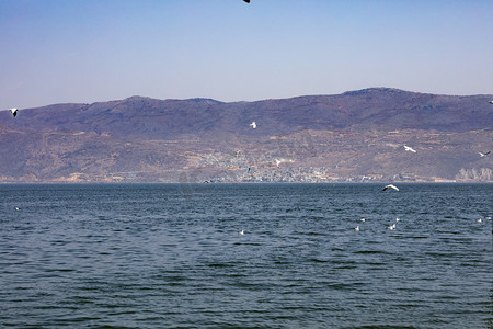 自然风景海景海岸线海水摄影图