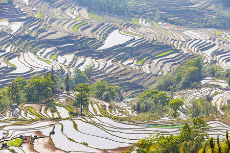 风景摄影照片_云南风景元阳梯田摄影图