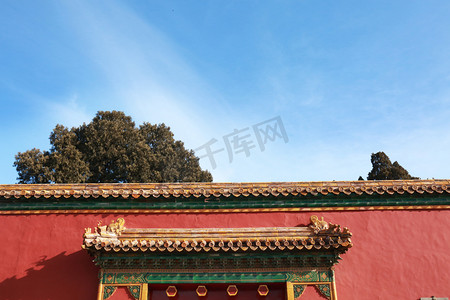 红墙绿瓦摄影照片_故宫大门和松树摄影图