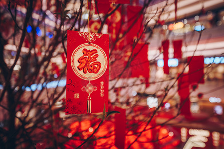 新年摄影照片_挂在树枝上的红包摄影图