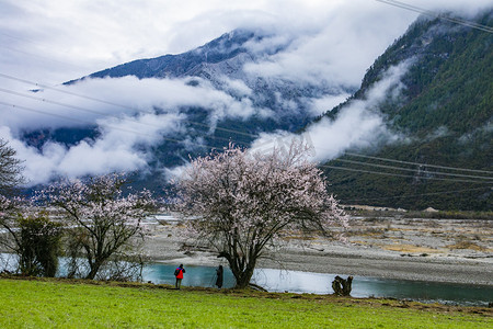 你好三月摄影照片_西藏林芝风景摄影图