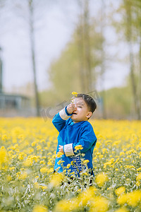 2019猪年形象摄影照片_油菜花地里面的小男孩