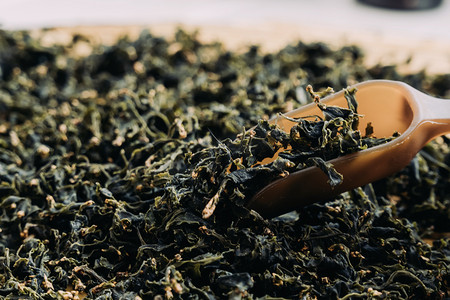 茶叶绿茶摄影图