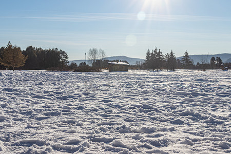 漠河冬天雪地雪景摄影图
