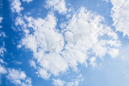 云朵手绘漫画摄影照片_蓝天云朵花枝植物自然风景摄影图