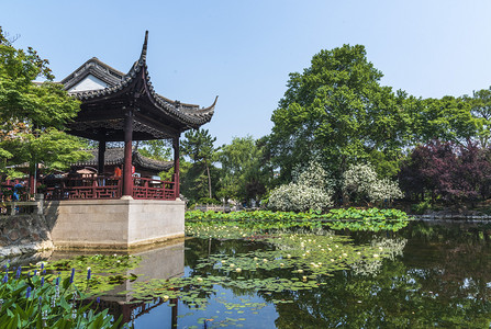 荷花中式摄影照片_荷花池风景摄影图