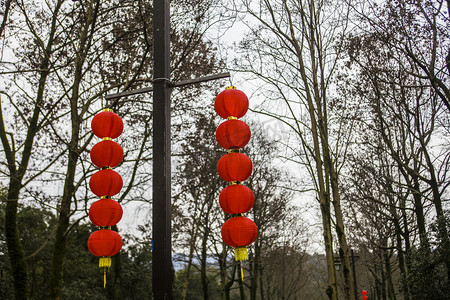 杭州植物园大红灯笼摄影图