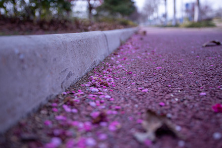 春天里塑胶跑道