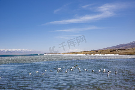 风景美丽青海湖摄影图