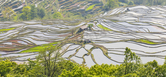 云南风景元阳梯田摄影图