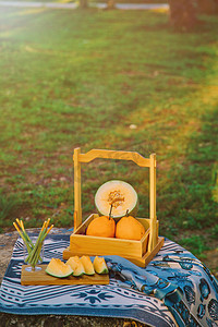 野餐水果摄影图