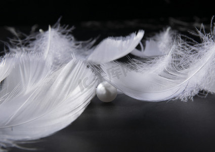 羽毛珍珠摄影图